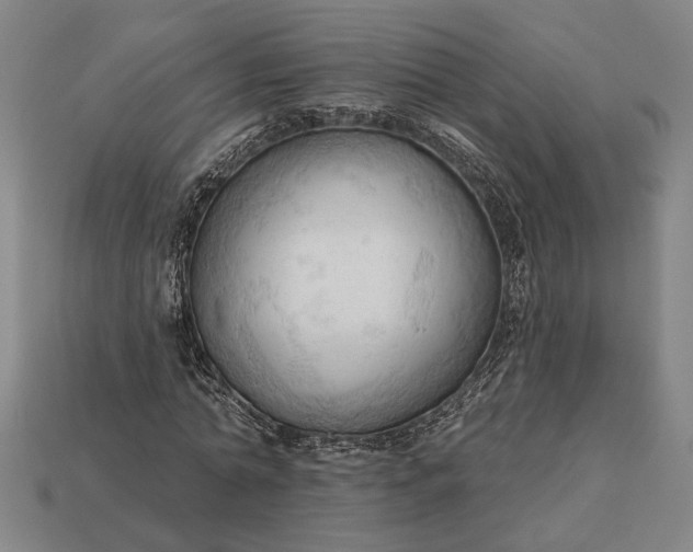 X0000113130774200909181709