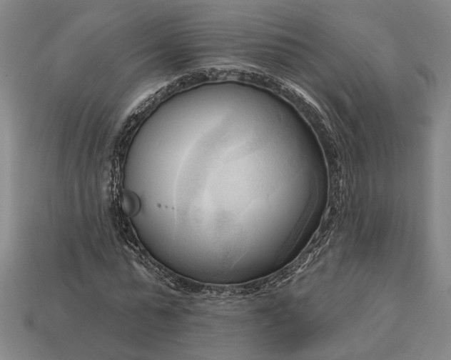 X0000113130775200909181709