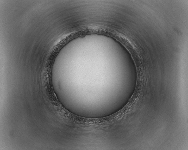 X0000113130776200909181708