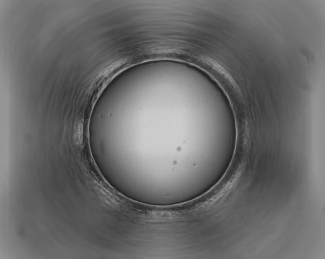 X0000113130777200909181708