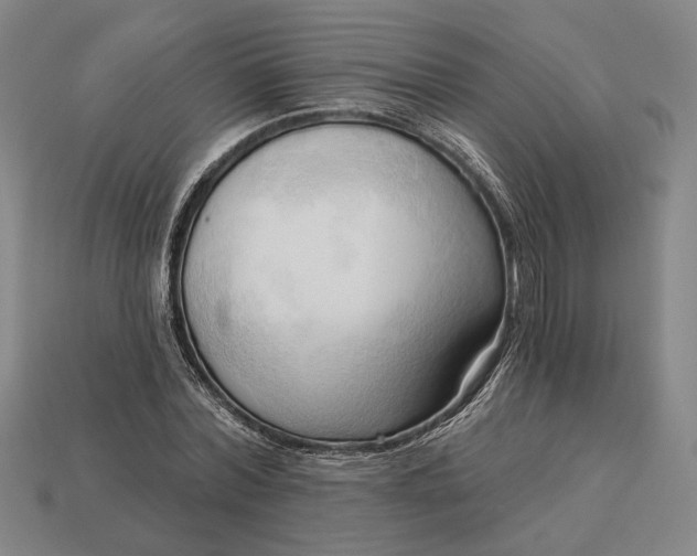 X0000113130780200909181708