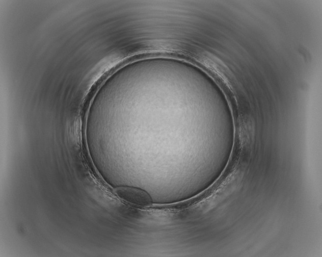 X0000113130781200909181708