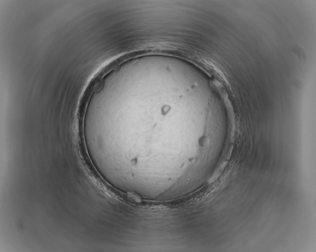 X0000113130784200909181708