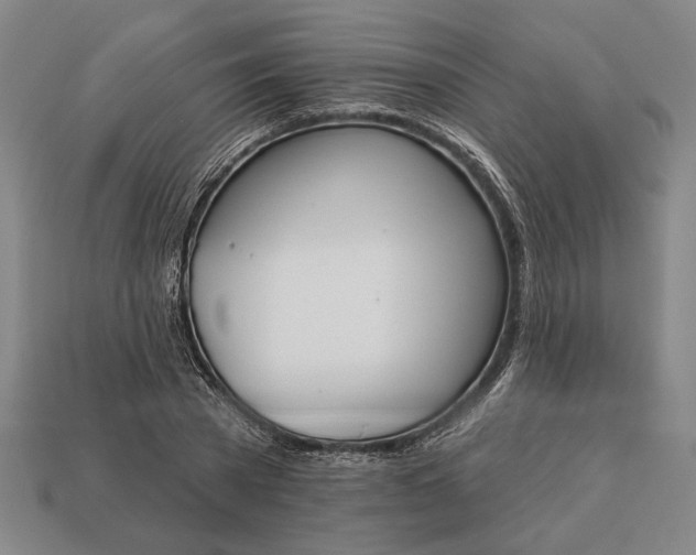 X0000113130785200909181708