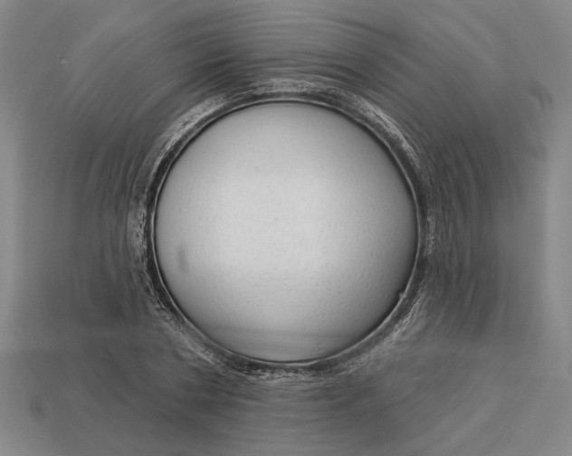 X0000113130786200909181708