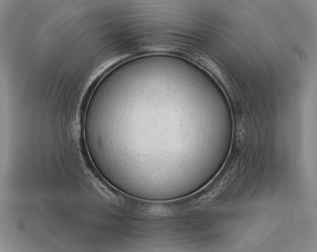 X0000113130787200909181708