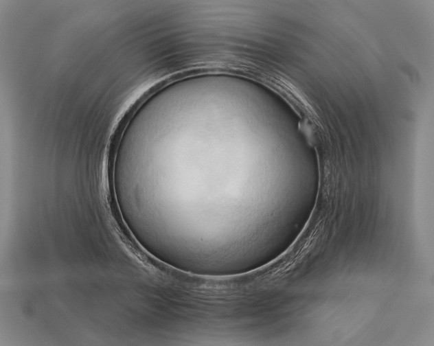 X0000113130788200909181708