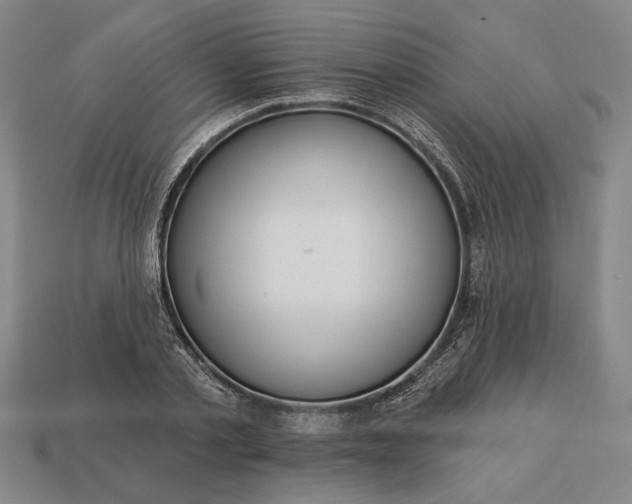 X0000113130789200909181708