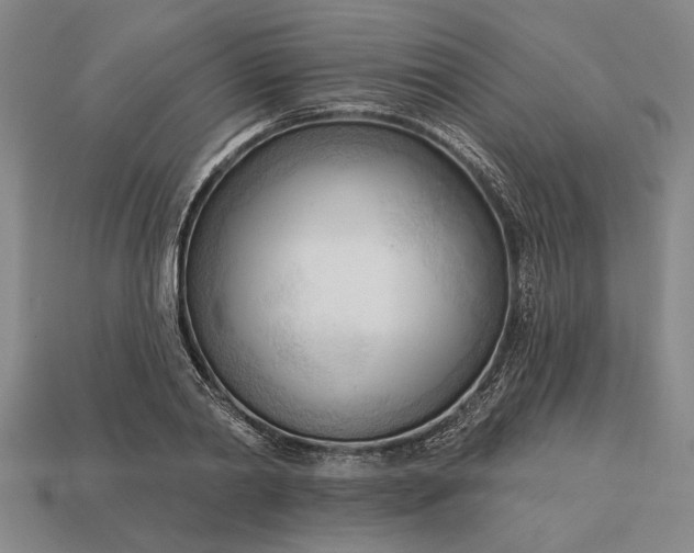 X0000113130790200909181708