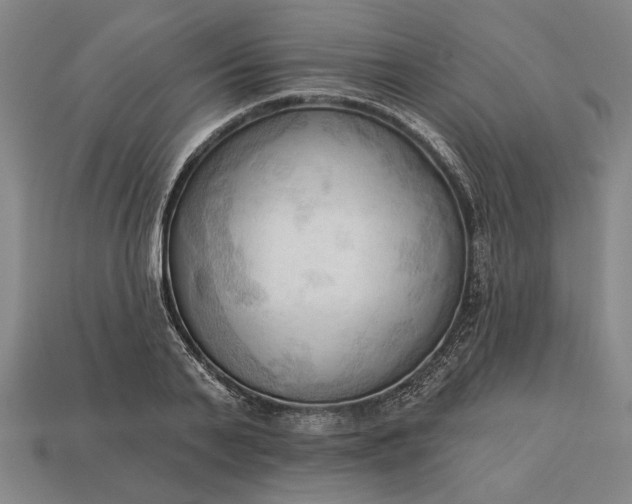 X0000113130791200909181708