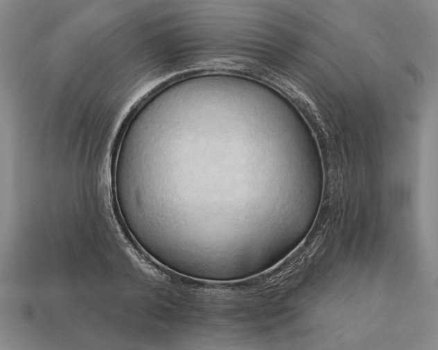 X0000113130792200909181708