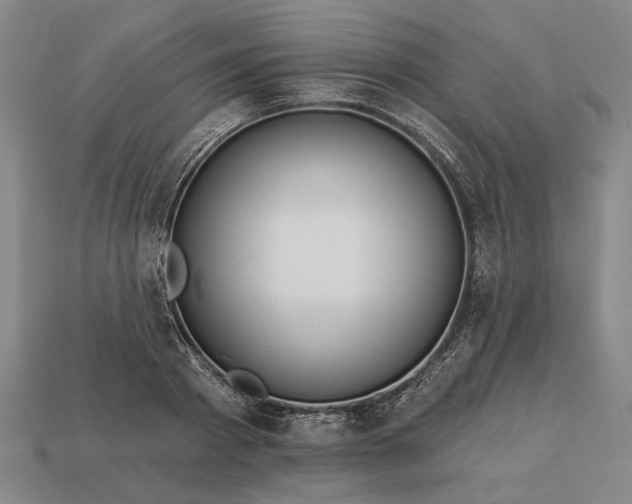 X0000113130793200909181708