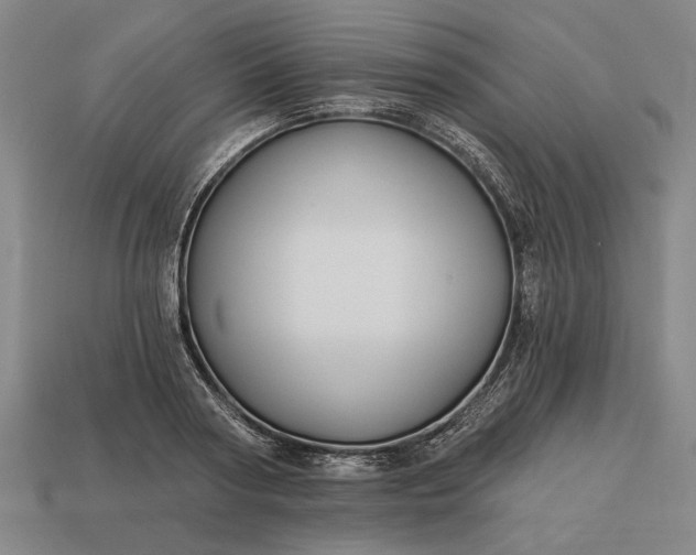 X0000113130794200909181708