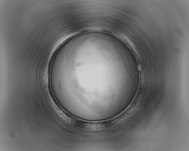 X0000113130795200909181708