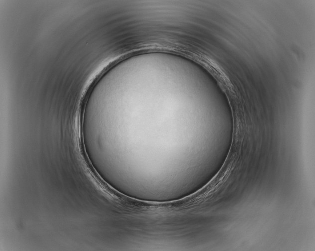 X0000113130796200909181708