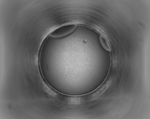 X0000113130797200909181708