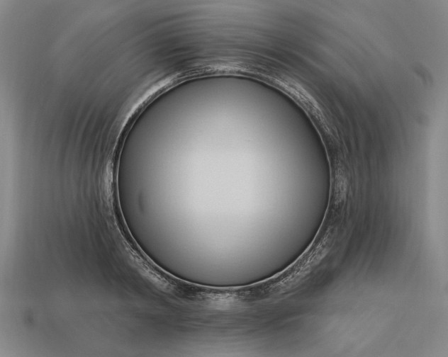 X0000113130798200909181708