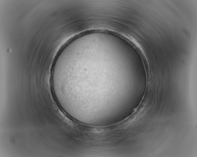 X0000113130799200909181708