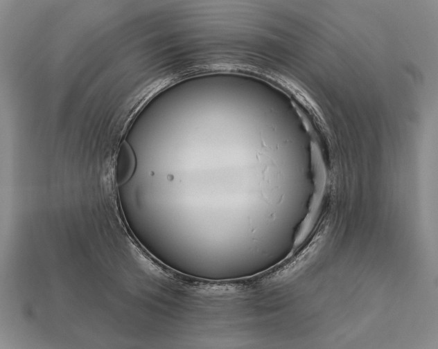 X0000113130801200909181708