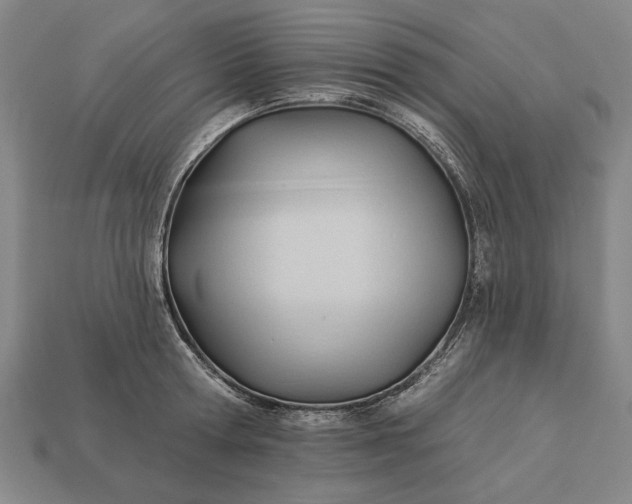 X0000113130802200909181708