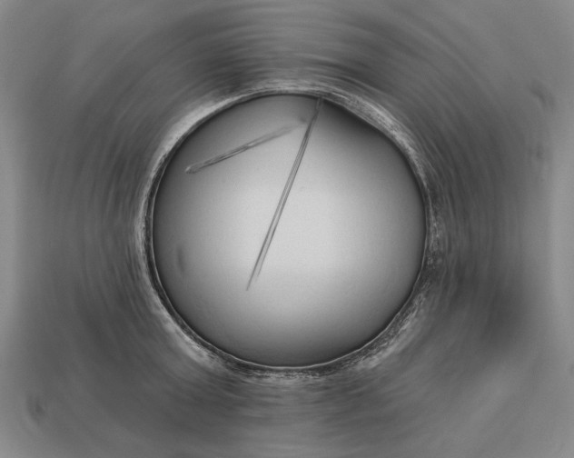 X0000113130803200909181708