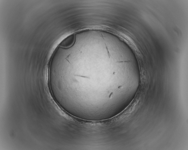 X0000113130804200909181708