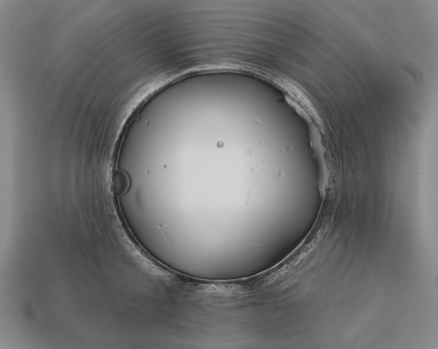 X0000113130805200909181708