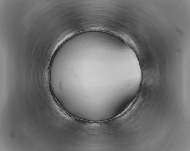 X0000113130806200909181708