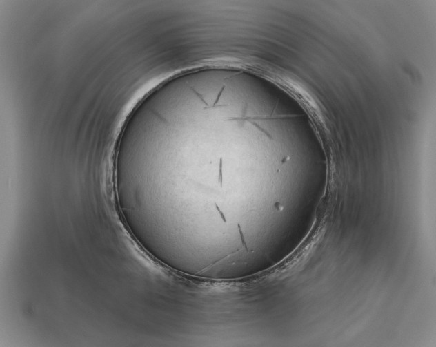 X0000113130808200909181708