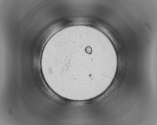 X0000113130810200909181708