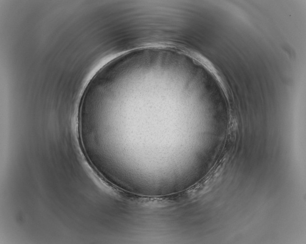 X0000113130811200909181708