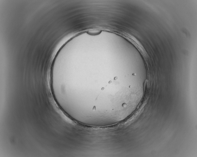 X0000113130812200909181708