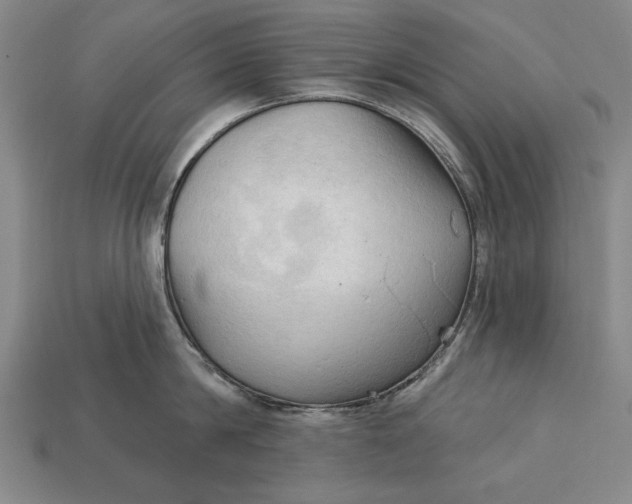 X0000113130814200909181708