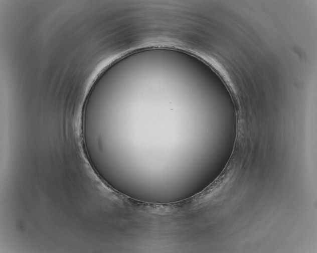 X0000113130815200909181708