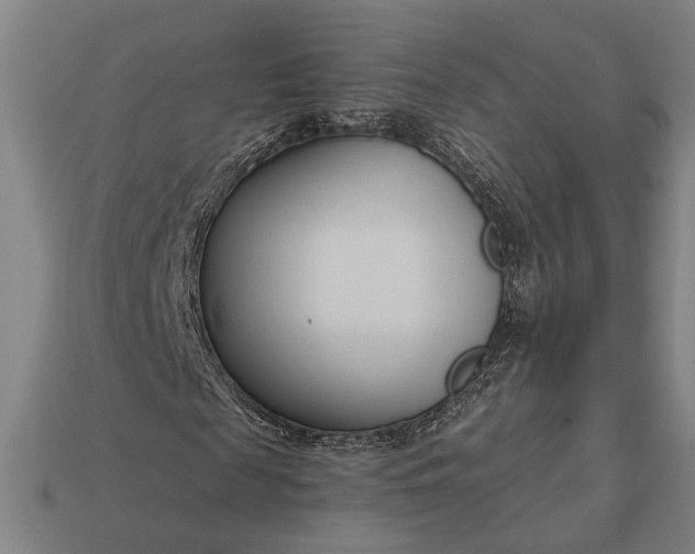 X0000113130817200909181707