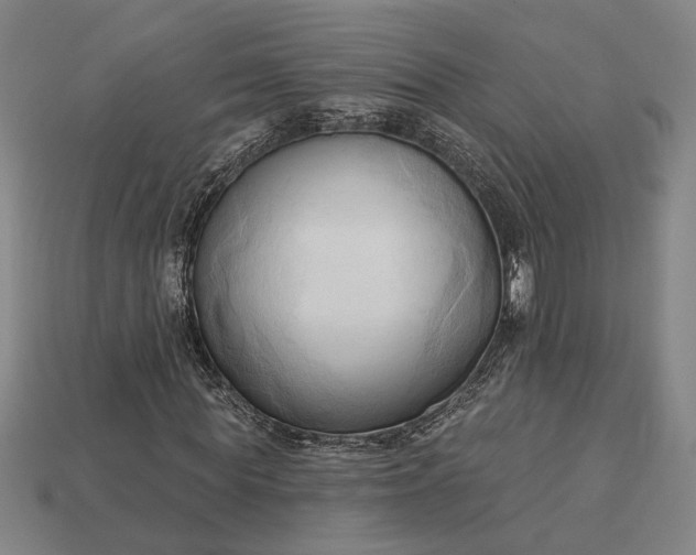 X0000113130819200909181707