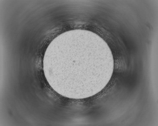 X0000113130820200909181707