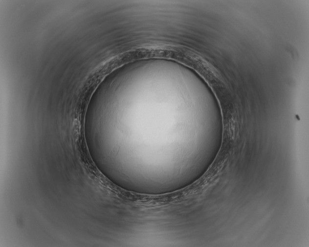 X0000113130821200909181707