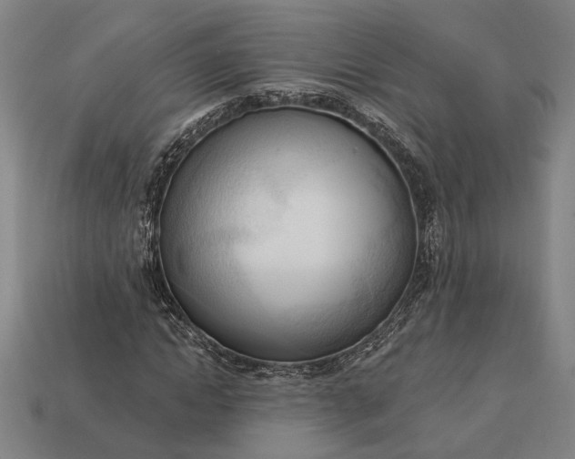 X0000113130822200909181707