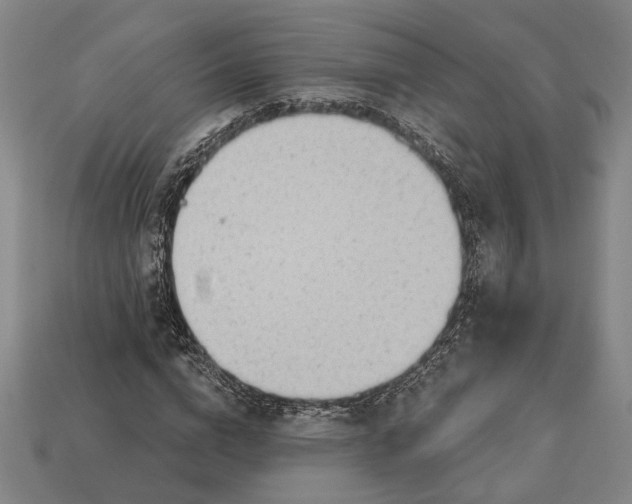 X0000113130824200909181707