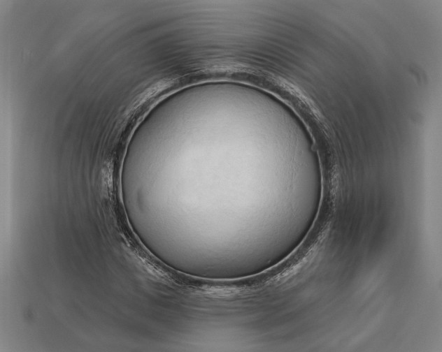 X0000113130825200909181707