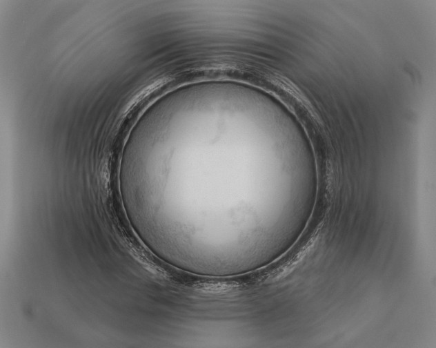 X0000113130826200909181707