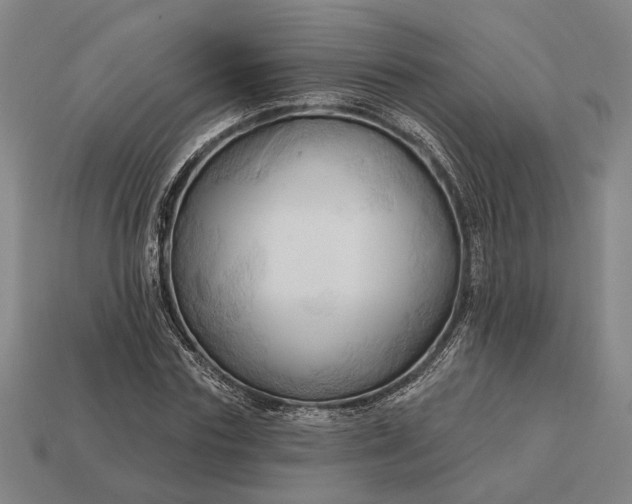 X0000113130827200909181707