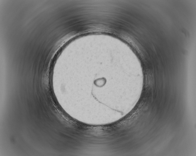 X0000113130828200909181708