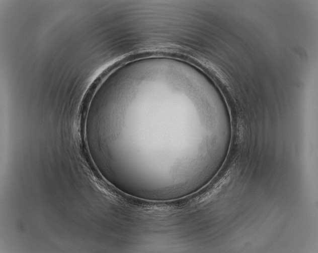 X0000113130830200909181708