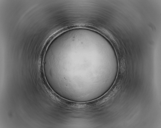 X0000113130831200909181708