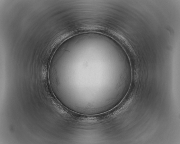 X0000113130833200909181708