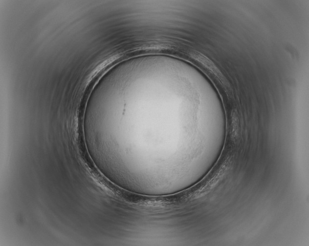 X0000113130834200909181708