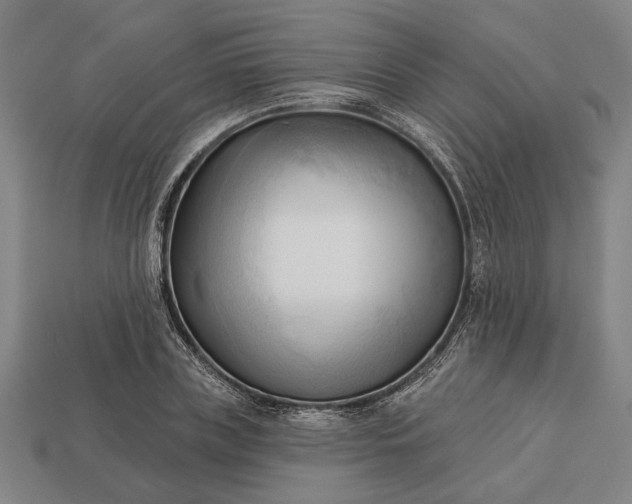 X0000113130835200909181708