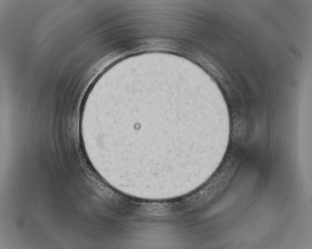 X0000113130836200909181708